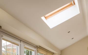 Lochans conservatory roof insulation companies