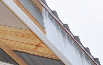 why Lochans fascia repairs are essential