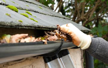 gutter cleaning Lochans, Dumfries And Galloway