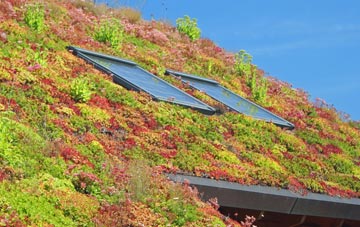 Lochans living roof systems