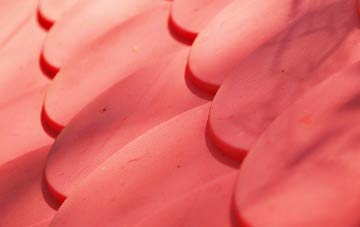 Lochans plastic roof costs